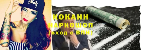 молекула духа Арсеньев