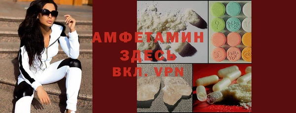 молекула духа Арсеньев