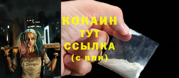 молекула духа Арсеньев