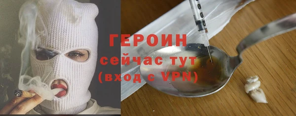 молекула духа Арсеньев