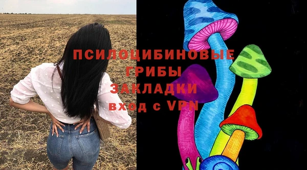 молекула духа Арсеньев