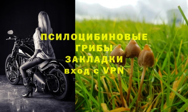 молекула духа Арсеньев